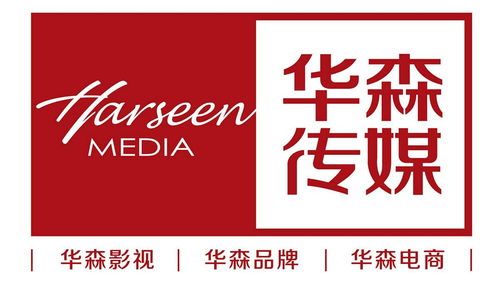 簡視傳媒 山東華森視覺文化傳媒的視覺敘事藝術(shù)